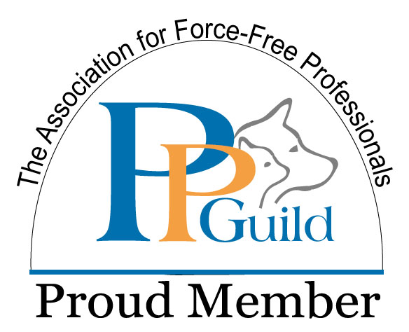 PPG-new-member-badge