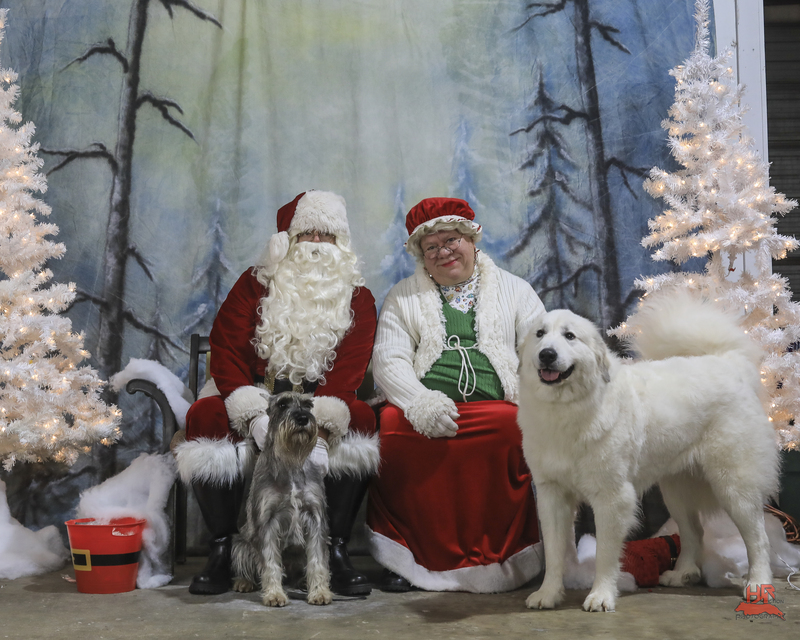 Merry Christmas from Lilith & Frost
